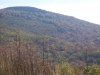 Red Spruce Knob