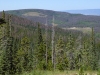 Bull Mountain