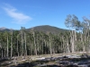 Black Mountain