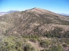Bradley Mountain