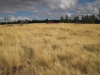 Abels Ridge
