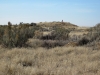 Sand Hills