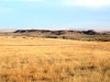 Cheyenne Lookout