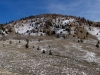 Ring Mountain