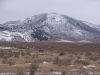 North Junipers (HP)