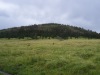 Round Mountain