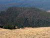 Green Mountain