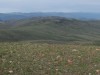 Willow Creek Butte