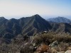 Organ Peak