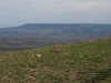 Mellor Mountain