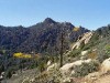 Hualapai Peak