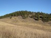 Bald Mountain
