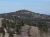Logan Hill