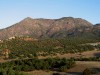 Cactus Mountain