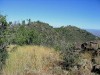 Pine Mountain