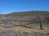 Hogback