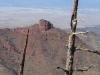 Bears Head