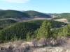 Banta Hill