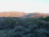 Coffee Pot Hill