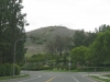French Hill