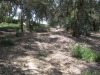 Landing Hill