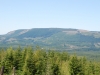 "Drunken Charlie Mountain"