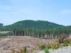 "Tokul Hills South"