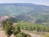 Twin Peaks, East