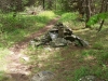 Calf Mountain