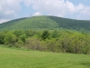 Blue Knob