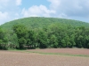 Schaefer Head