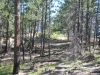 Gallina Peak