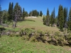 "South Oliver Peak"