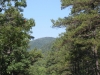 Tall Peak
