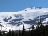 Whitman Crest