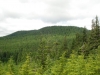 Spencer Butte