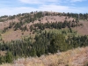 Deadhorse Ridge