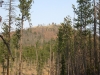 Custer Peak