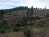 Scoop Mountain
