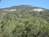 Borrego Mesa
