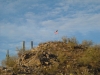 Casa Grande Mountains (HP)