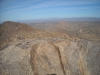 "Tom's Thumb"