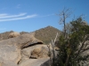 "Cholla Mountain"