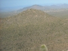 "Cholla Mountain"