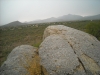Wildcat Hill