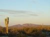 Papago Benchmark