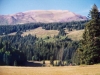 Delano Peak