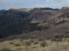 Grill Hill