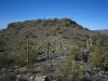 Adams Mesa