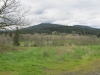 Livingston Mountain